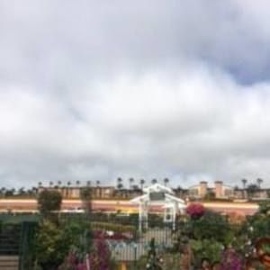 Meet your Posher, Polly